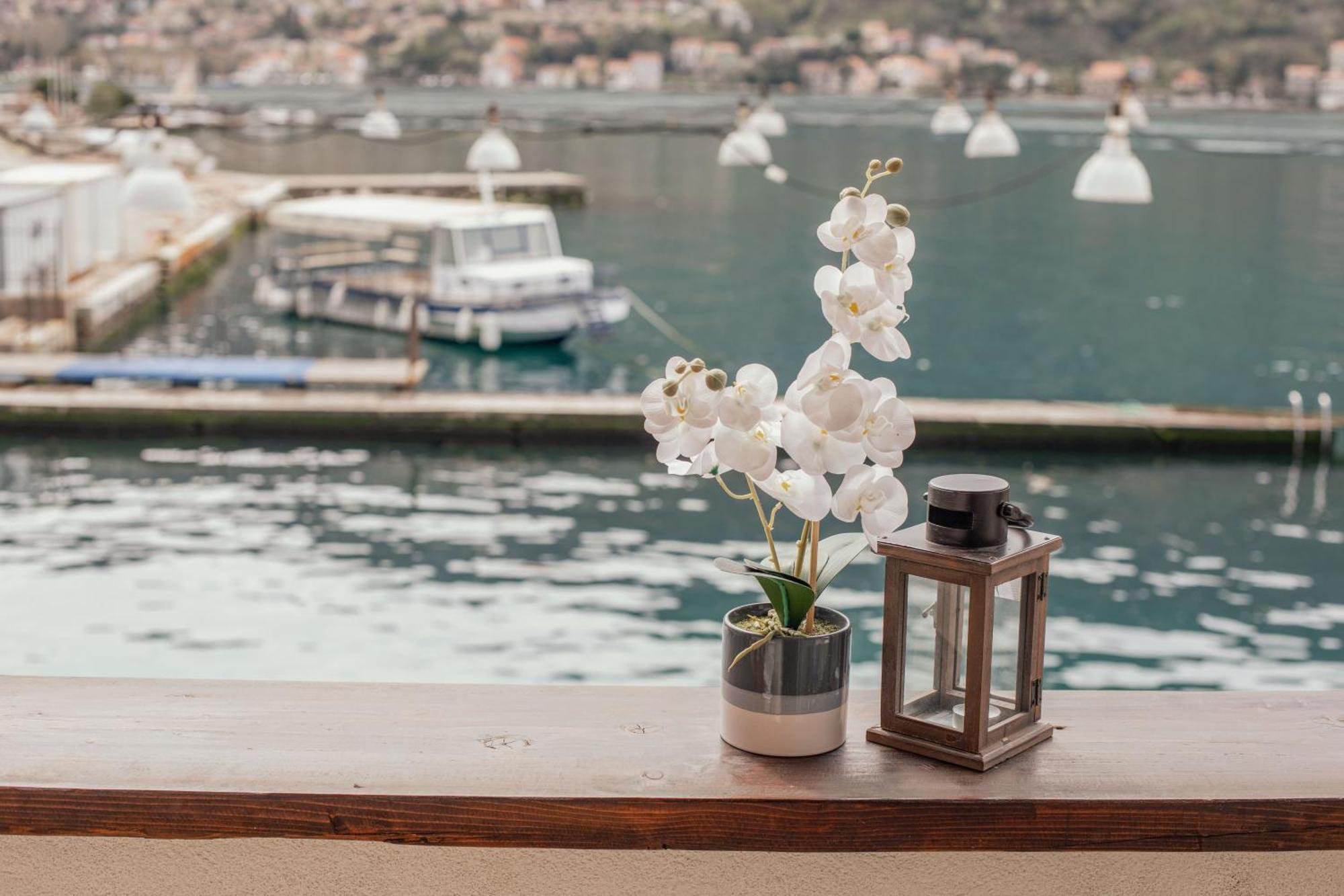 Step To Kotor Bay Guesthouse エクステリア 写真